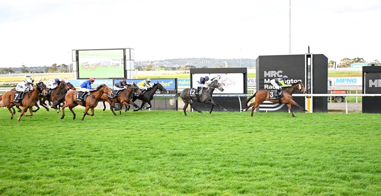 My Roca Fella - Mornington 18th September 2025